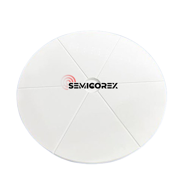 Aluminiumoxide wafelpolijstdrager
