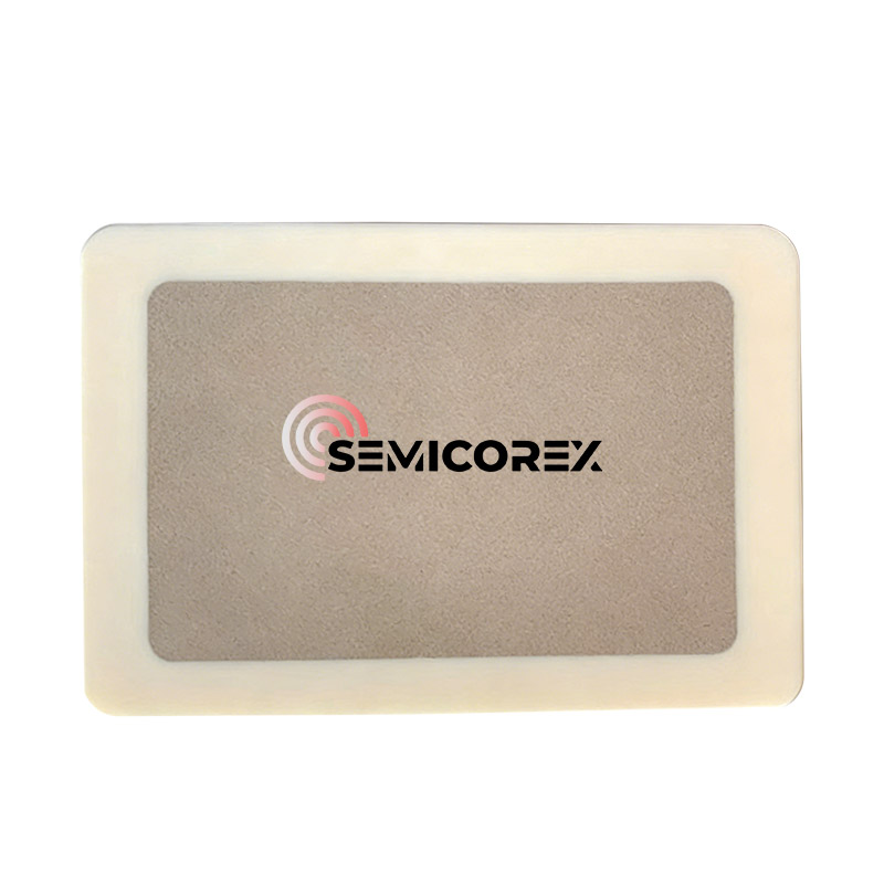 Poreuze aluminiumoxide vacuümhouder