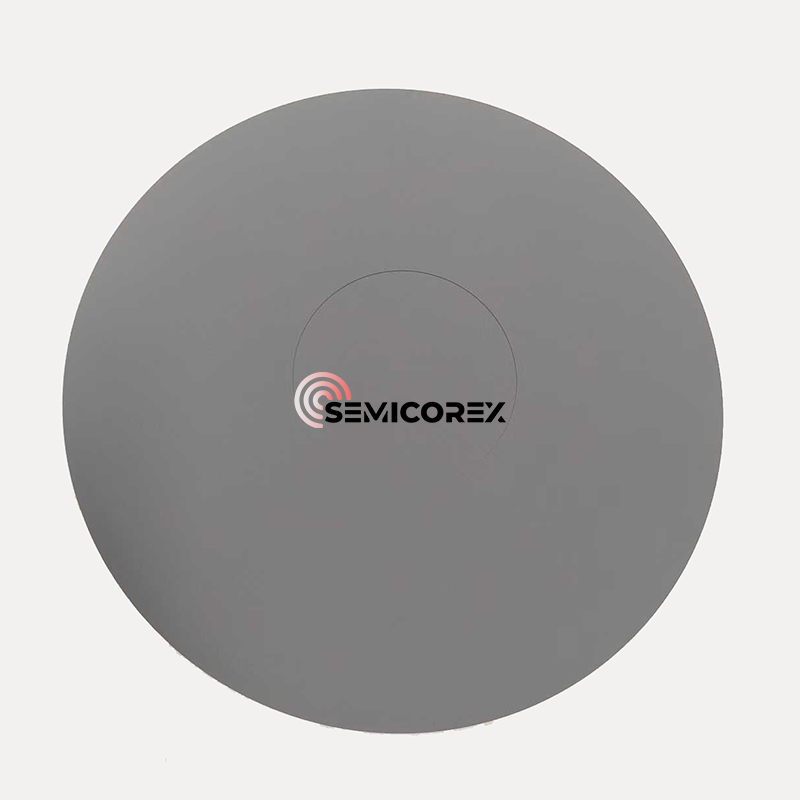 Pannenkoekenhouder met SiC-coating